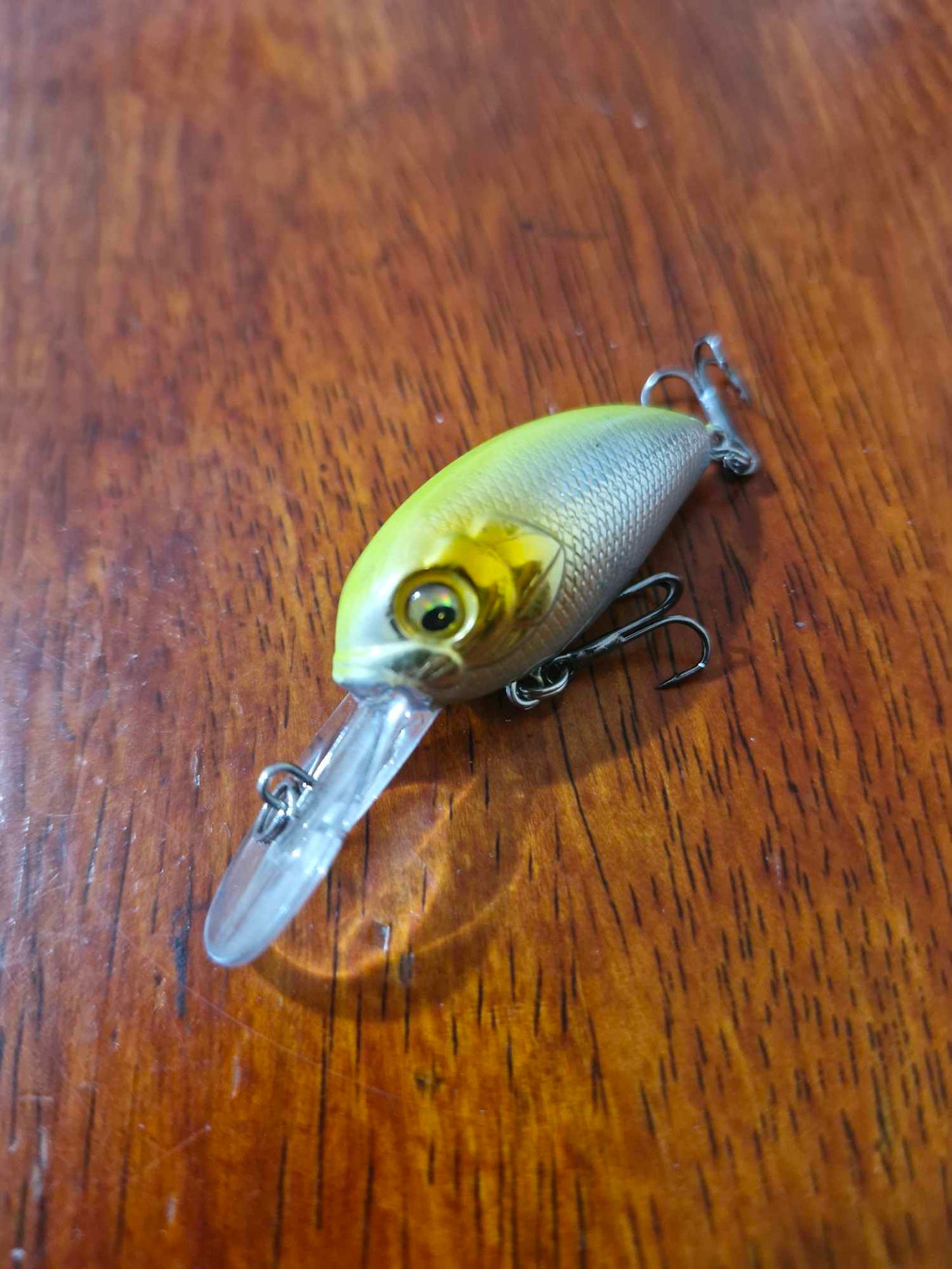 35mm Crank Baits- Bean Lures - Whateva Outdoors
