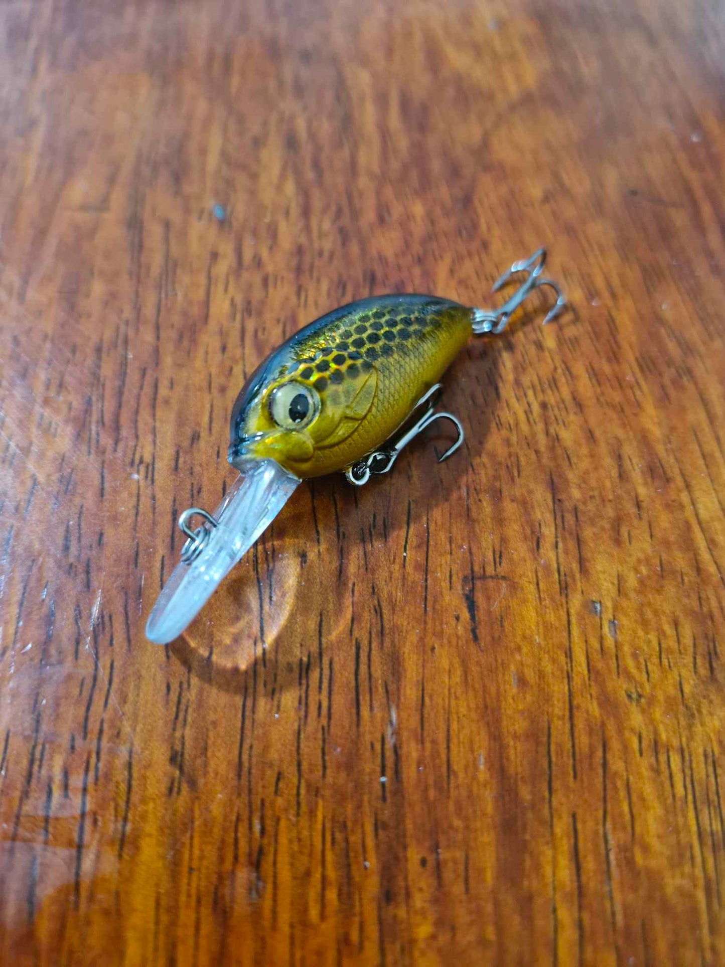 35mm Crank Baits- Bean Lures - Whateva Outdoors