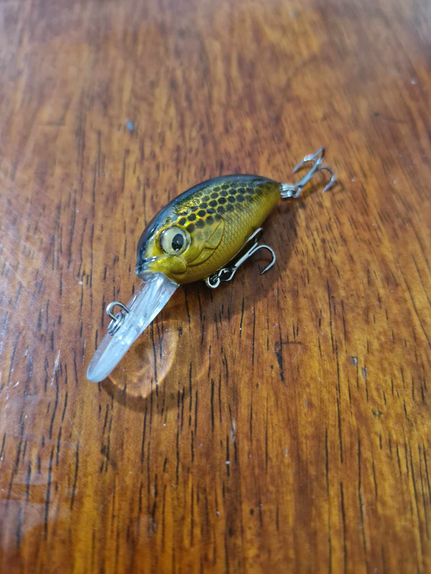 35mm Crank Baits- Bean Lures - Whateva Outdoors