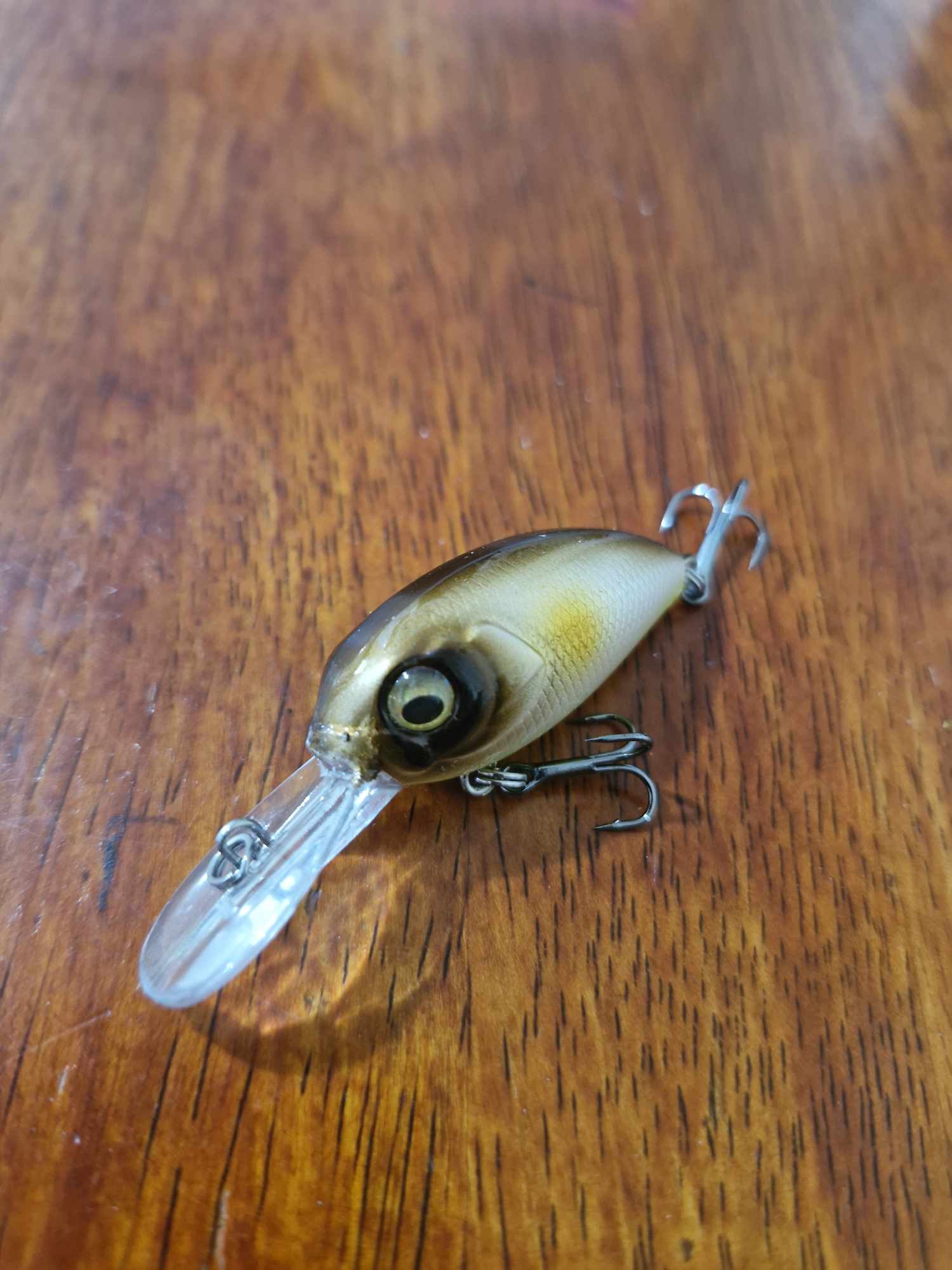35mm Crank Baits- Bean Lures - Whateva Outdoors